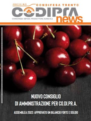 Copertina3-2022