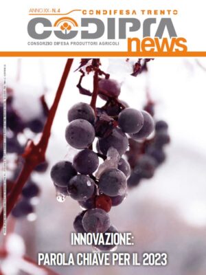 Copertina