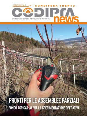 Copertina-CodipaNews-1