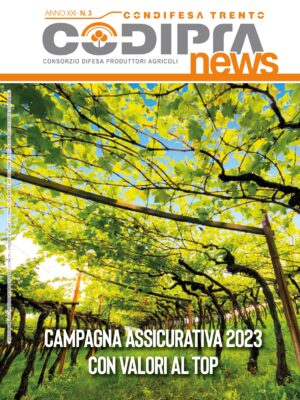 Numero 3_2023_web_2_page-0001
