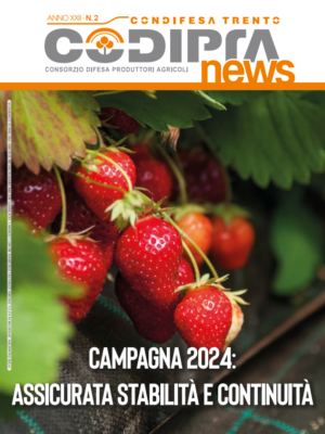 CodipraNews2