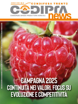 Copertina-CodipraNews-2-2025